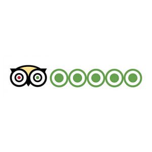 Tripadvisor Reviews