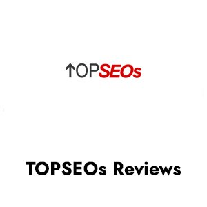 Buy TOPSEOs Reviews